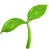 plant icon